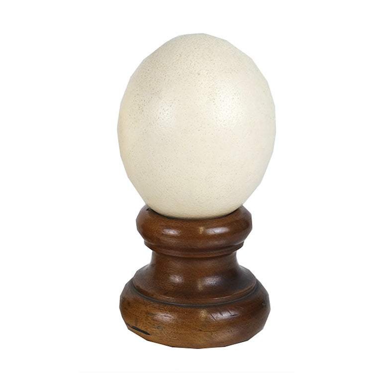 Vintage Ostrich Egg and Stand
