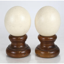 Load image into Gallery viewer, Vintage Ostrich Egg and Stand